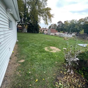 Leaf Removal by Land and Lawn Care reviewed on October 22, 2025