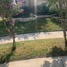 Bush Trimming by Dallas Enterprise LLC Lawn Care Services reviewed on August 15, 2025