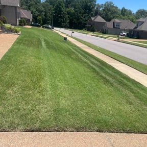 gardening service by JAM Property Maintenance reviewed on August 15, 2025