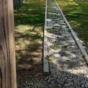 Leaf Removal by Ledezma reviewed on September 6, 2025