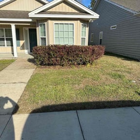 Bush Trimming by Juana's Botanical Landscaping reviewed on August 17, 2025