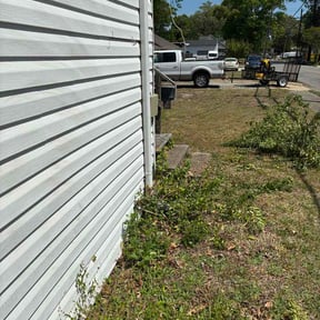 Bush Trimming by frog lawncare reviewed on April 27, 2026