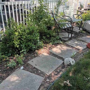 Flower Bed Weeding by LowKutz reviewed on July 13, 2026