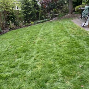Bush Trimming by Beetlebaileymowing2026@gmail.com reviewed on May 14, 2026