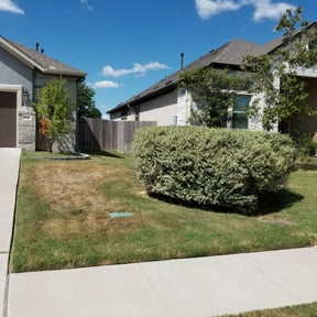 Bush Trimming by JC Lawn Care reviewed on July 24, 2023