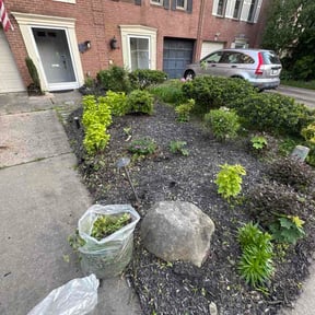 Flower Bed Weeding by Boyd's sustainable greens reviewed on May 17, 2026