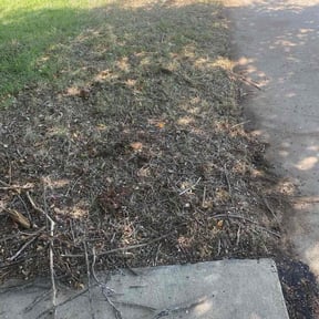 Flower Bed Weeding by Ultimate Landscape Contractor  reviewed on November 24, 2025