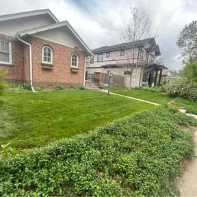 landscape maintenance by Osment Lawn Care reviewed on November 19, 2025