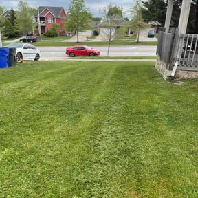 lawn care services by KraftAlley Lawns reviewed on May 7, 2024