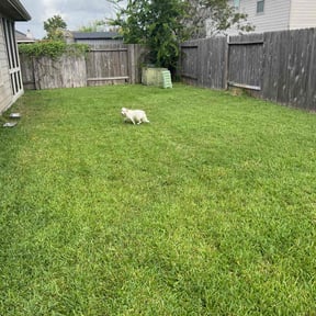 yard service by Devin's Land Warriors reviewed on August 19, 2025