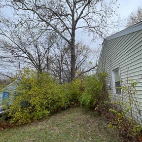 Leaf Removal by Custom Care Lawn and Property Services Inc. reviewed on August 16, 2025