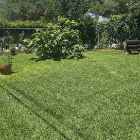 grass maintenance by Lake country mowing reviewed on August 19, 2025