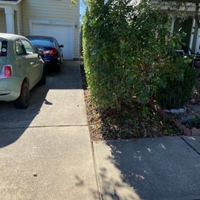 Bush Trimming by Enoch's Lawn Care reviewed on June 19, 2025