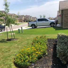 Bush Trimming by Lousgrass reviewed on August 14, 2025