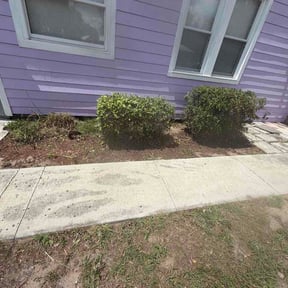 Bush Trimming by Jusus Lawn Care LLC reviewed on June 23, 2026
