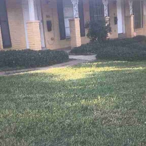 Flower Bed Weeding by Daniel Fiallos-Diaz reviewed on June 13, 2026
