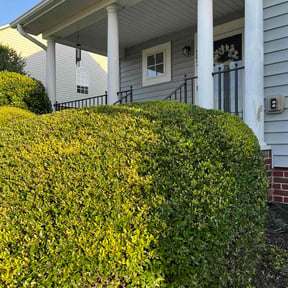 Bush Trimming by Greener Grass Cutting  reviewed on June 18, 2026