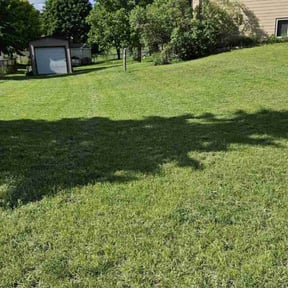 yard maintenance by Zeke The Geek's Lawn Cutting Services reviewed on August 15, 2025