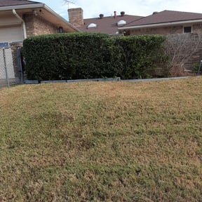 Bush Trimming by Greenblade Mowing reviewed on August 17, 2025