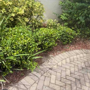 Flower Bed Weeding by jng landscaping llc reviewed on August 21, 2026