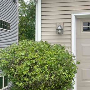Bush Trimming by Affordable Lawn Care reviewed on May 27, 2026