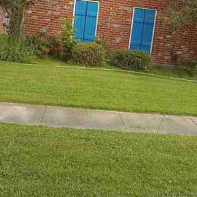 Bush Trimming by Andersen Landscaping llc reviewed on August 16, 2025
