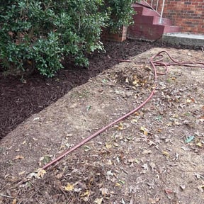 Mulching by B3 Better Consulting reviewed on November 22, 2025