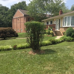 Bush Trimming by DTE Maintenance Llc reviewed on August 19, 2025