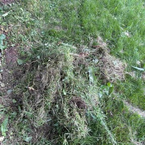 Flower Bed Weeding by J&amp;R Lawncare &amp; Maintenance reviewed on June 16, 2026