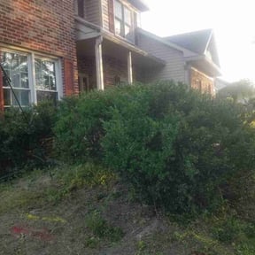 Bush Trimming by CEJLANDSCAPING reviewed on January 8, 2026