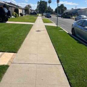 residential landscaping by Campbell's lawns reviewed on August 15, 2025