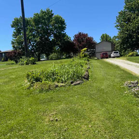 Flower Bed Weeding by Vite Handyman Services reviewed on June 4, 2026