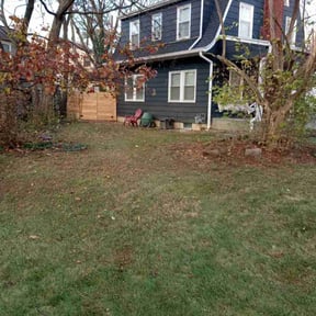 Leaf Removal by Tight Lines LawnService reviewed on August 19, 2025