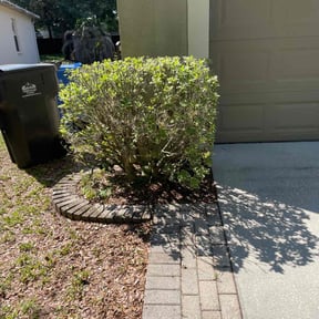 Bush Trimming by Torres Lawn Care reviewed on August 18, 2025