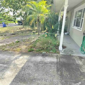 Flower Bed Weeding by WLRexpress reviewed on August 17, 2025