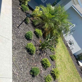 Flower Bed Weeding by David View reviewed on June 11, 2026