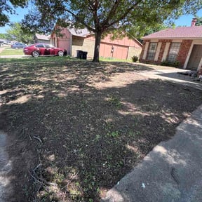 Leaf Removal by Derrick carpentry reviewed on May 8, 2026