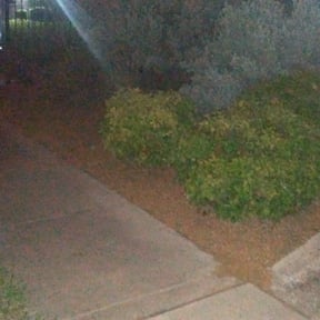 Flower Bed Weeding by Kb lawn care reviewed on August 16, 2025
