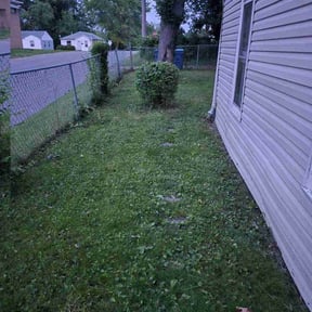 Bush Trimming by Getyourlawncut.com reviewed on August 18, 2025