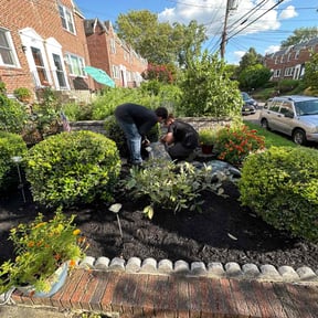 Mulching by Leneirs Landscaping reviewed on August 19, 2025