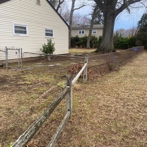 Leaf Removal by Chuyin&#039;s Lawn Care LLC reviewed on September 19, 2025