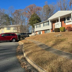 Leaf Removal by Propert Doctors reviewed on July 18, 2022