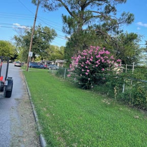 grass maintenance by Jackman&#039;s Lawn Care reviewed on August 16, 2025