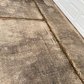 Flower Bed Weeding by Scotton Landscaping reviewed on August 15, 2025