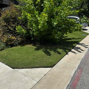 yard work by D&D Reliable Services LLC reviewed on August 19, 2025
