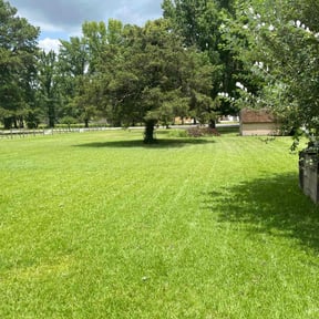 landscape maintenance by Tim's lawn service reviewed on May 15, 2025