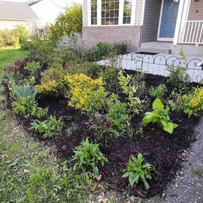 Mulching by High Standards reviewed on August 15, 2025
