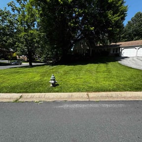 lawn maintenance by Mr G's HandyMan &amp; Lawn pro.service reviewed on August 21, 2025