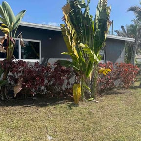 Bush Trimming by Grasshopper Lawn Care reviewed on April 4, 2026