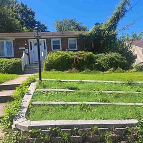 Bush Trimming by Rocky mountain yardscapes reviewed on December 11, 2025